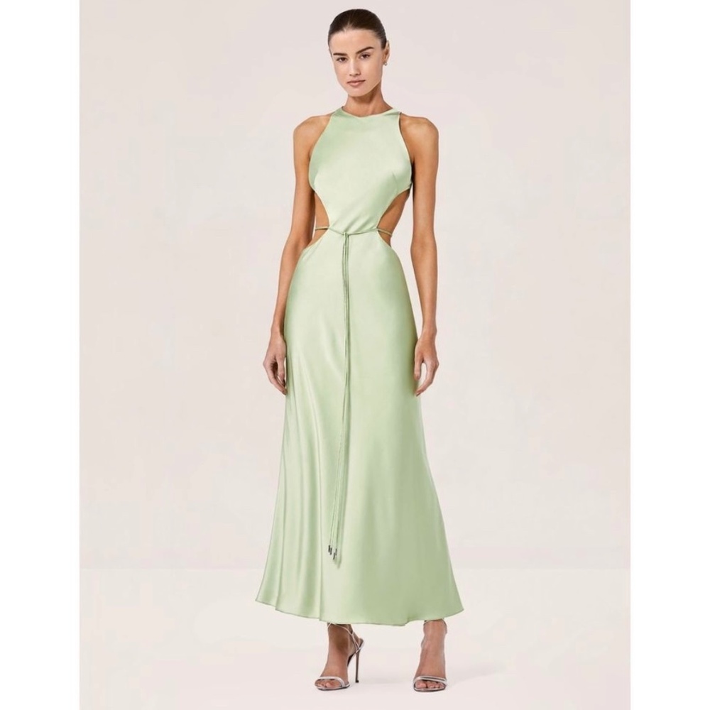 Alexis Willow Dress Size Small